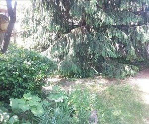 Pretabil investitii!Casa 2 camere de vanzare Parneava X1RF1139K