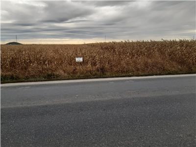 Terenuri De Vanzare Arad Vanzari Terenuri Arad