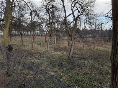 EXCLUSIVITATE CASA DE VANZARE MADRULOC 1948