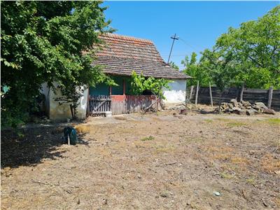 CASA MODESTA CU TEREN IN ȘIRIA