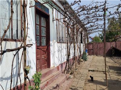 CASA TRADITIONALA IN HORIA -ARAD