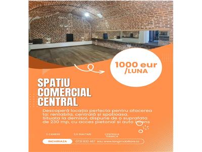SPATIU COMERCIAL ULTRACENTRAL DEMISOL