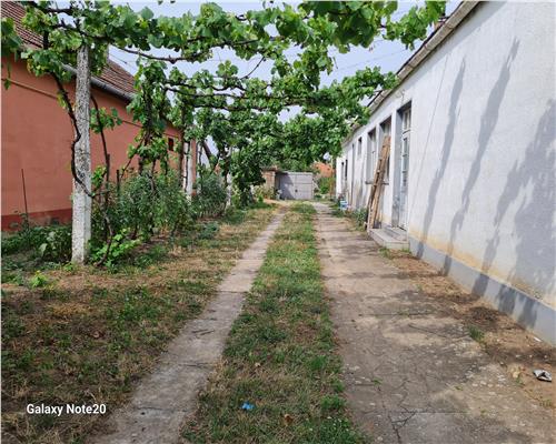 CASA 4 CAMERE HOREA ARAD
