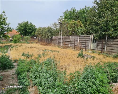 CASA 4 CAMERE HORIA ARAD