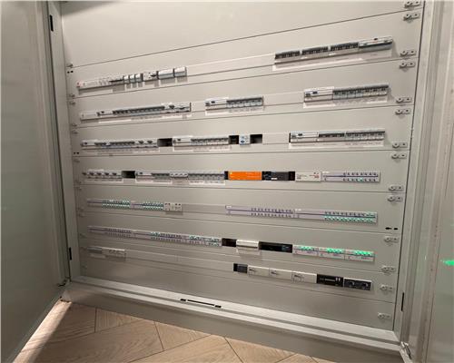 Vila Exclusivista cu Piscina si Tehnologie Smart |Arad 5 camere Parneava