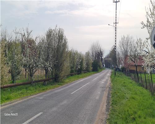 TEREN INTRAVILAN DOROBANTI