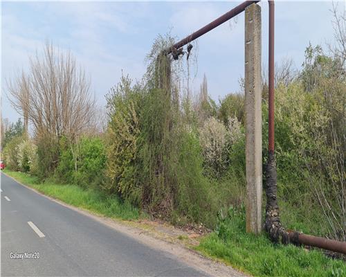 TEREN INTRAVILAN DOROBANTI