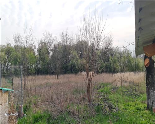 TEREN INTRAVILAN DOROBANTI