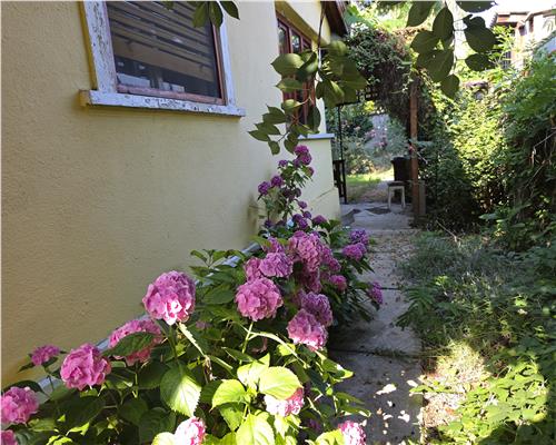 CASA DE VANZARE ZONA TABACOVICI