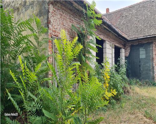 CASA SI TEREN GENEROS IN  ARADUL NOU