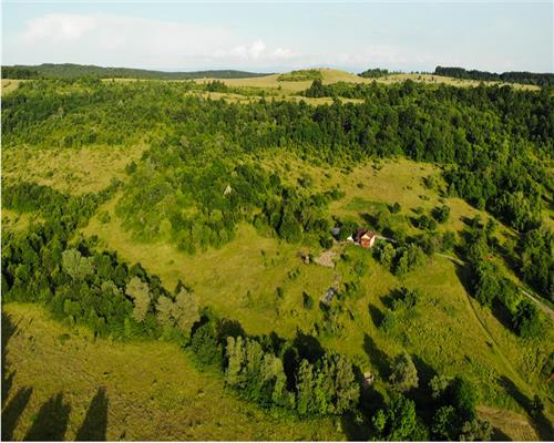TEREN IN ZONA PITOREASCA LINISTITA